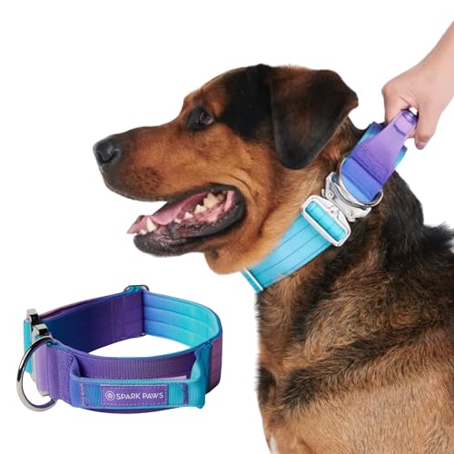 Spark Paws Taktisches Hundehalsband – Robuste, Premium-Qualität, Dick und Langlebig für Große und Mittelgroße Hunde - 90s Retro - M von Spark Paws