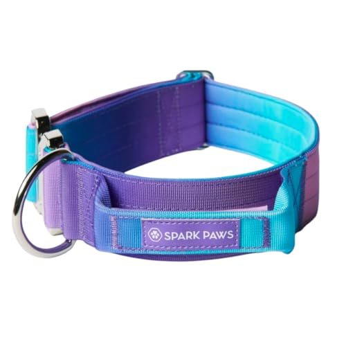 Spark Paws Taktisches Hundehalsband mit Griff - Premium Qualität, Robustes Design für große Hunderassen - Pitbulls, Labradore, GSD - 90s Retro - M von Spark Paws