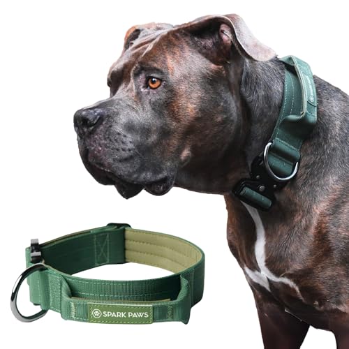 Spark Paws Taktisches Hundehalsband – Robuste, Premium-Qualität, Dick und Langlebig für Große und Mittelgroße Hunde - Army Green - M von Spark Paws