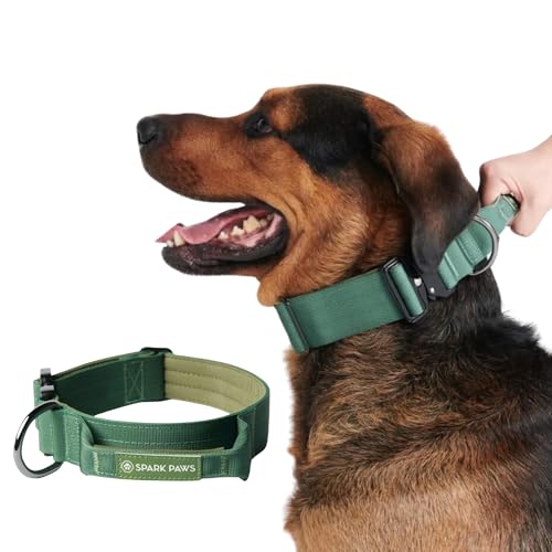 Spark Paws Taktisches Hundehalsband – Robuste, Premium-Qualität, Dick und Langlebig für Große und Mittelgroße Hunde - Army Green - S von Spark Paws