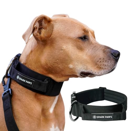 Spark Paws Taktisches Hundehalsband – Robuste, Premium-Qualität, Dick und Langlebig für Große und Mittelgroße Hunde - Black - S von Spark Paws