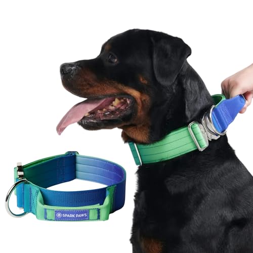 Spark Paws Taktisches Hundehalsband – Robuste, Premium-Qualität, Dick und Langlebig für Große und Mittelgroße Hunde - Lime Wave - L von Spark Paws