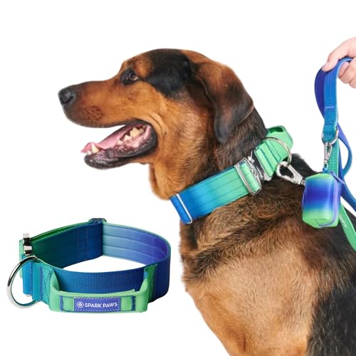 Spark Paws Taktisches Hundehalsband – Robuste, Premium-Qualität, Dick und Langlebig für Große und Mittelgroße Hunde - Lime Wave - M von Spark Paws