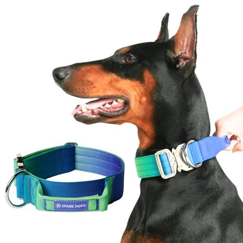 Spark Paws Taktisches Hundehalsband – Robuste, Premium-Qualität, Dick und Langlebig für Große und Mittelgroße Hunde - Lime Wave - S von Spark Paws