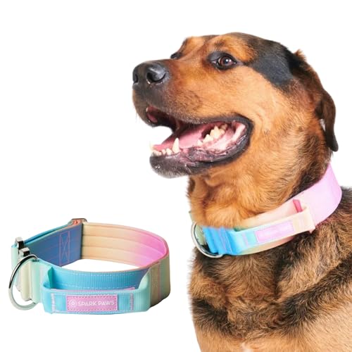 Spark Paws Taktisches Hundehalsband – Robuste, Premium-Qualität, Dick und Langlebig für Große und Mittelgroße Hunde - Pastel Icing - L - 5cm von Spark Paws