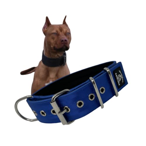 SparkDog Collars Arbeitshundehalsband, 5,1 cm, 4-lagig, gepolstert, strapazierfähig, Edelstahl, taktischer Sicherheitsgurt, breite Schnalle, Blau 2,0, Größe L von SparkDog Collars