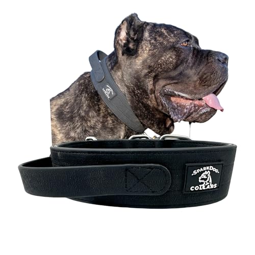 SparkDog Collars WP Arbeitshundehalsband, wasserdicht, Agitation, Dock-Tauchen, Hundebiathlon, Wandern, Abenteuer, Verkehrskontrollgriff von SparkDog Collars