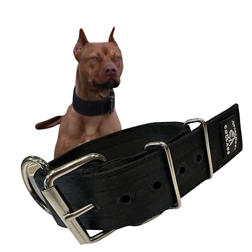 SparkDog Hundehalsband, 5.1 cm, strapazierfähig, 4-lagig, Edelstahl, taktischer Stil, Sicherheitsgurt, Pitbull-Halsband, Hundehalsband für große Hunde, großes Hundehalsband (groß), Schwarz von SparkDog Collars