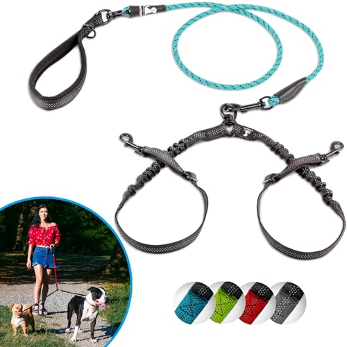 SparklyPets Doppelleine für 2 kleine Hunde, verhedderungsfreies Seil, Bungee-Doppelleine für Zwei kleine Rassen, mit verstellbaren Kupplungen und weichem Griff, Blaugrün, Größe S von SparklyPets