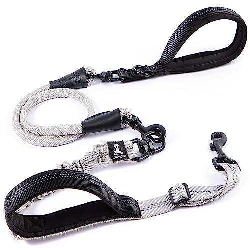 Strapazierfähige Bungee-Leine für große und mittelgroße Hunde mit Anti-Zug für Stoßdämpfung, rutschfeste, reflektierende Leine für draußen (verstellbar, Premium-Silver, Bungee-Leine, 150 cm) von SparklyPets