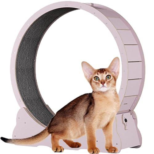 Hölzernes Katzen-Übungsrad, Katzenlaufrad mit Bremse, interaktives Katzenspielzeug, mit Schloss und Teppichboden, Fitness-Gerät zur Gewichtsreduktion für Katzen,Pink-XL von Spdazzleburst