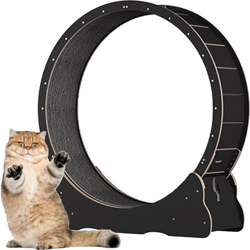 Katzen-Übungsrad, Katzen-Übungsrad aus Holz, mit Teppichboden, Laufband für Haustiere mit Bremse, für kleine und große Katzen,Black-XL von Spdazzleburst