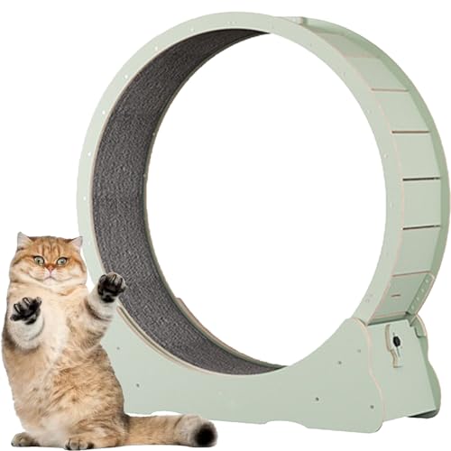 Katzen-Übungsrad, Katzen-Übungsrad aus Holz, mit Teppichboden, Laufband für Haustiere mit Bremse, für kleine und große Katzen,Green-XL von Spdazzleburst