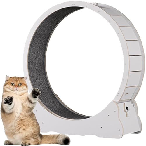 Katzen-Übungsrad, Katzen-Übungsrad aus Holz, mit Teppichboden, Laufband für Haustiere mit Bremse, für kleine und große Katzen,White-XL von Spdazzleburst