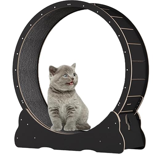 Katzen-Übungsrad, hölzernes Laufband für Haustiere, mit Bremse, interaktives Katzenspielzeug, mit Schloss und Teppichboden, Fitness-Gerät zur Gewichtsreduktion für Katzen,Black-XL von Spdazzleburst