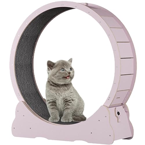 Katzen-Übungsrad, hölzernes Laufband für Haustiere, mit Bremse, interaktives Katzenspielzeug, mit Schloss und Teppichboden, Fitness-Gerät zur Gewichtsreduktion für Katzen,Pink-XL von Spdazzleburst