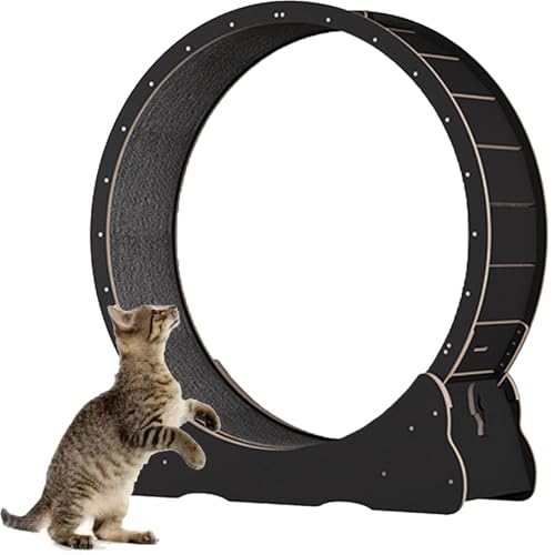 Katzenlaufband, Laufrad für Katzen aus Holz, mit Teppichboden, Laufband für Haustiere mit Bremse, perfekt für Ihre energiegeladene Katze,Black-XL von Spdazzleburst