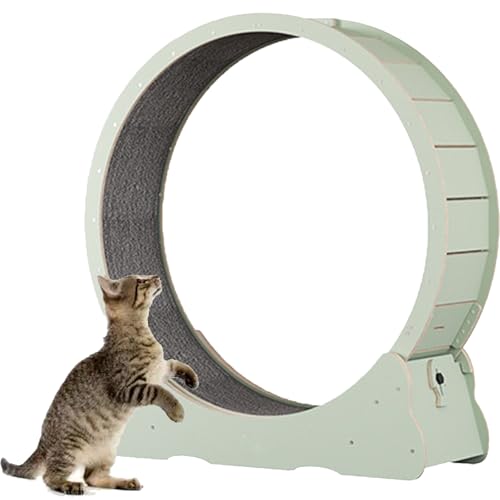 Katzenlaufband, Laufrad für Katzen aus Holz, mit Teppichboden, Laufband für Haustiere mit Bremse, perfekt für Ihre energiegeladene Katze,Green-XL von Spdazzleburst