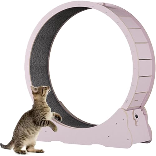 Katzenlaufband, Laufrad für Katzen aus Holz, mit Teppichboden, Laufband für Haustiere mit Bremse, perfekt für Ihre energiegeladene Katze,Pink-L von Spdazzleburst