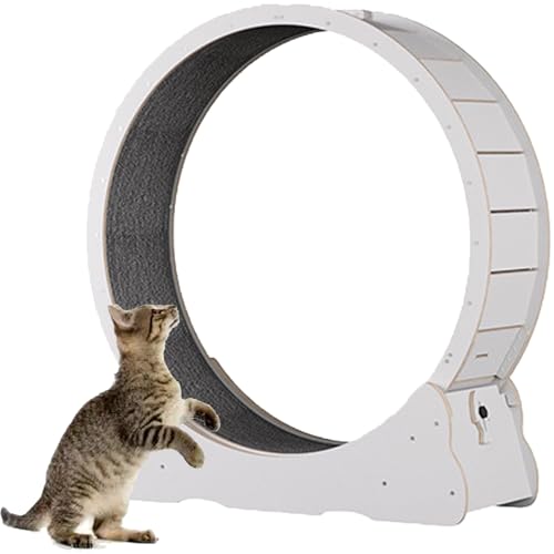 Katzenlaufband, Laufrad für Katzen aus Holz, mit Teppichboden, Laufband für Haustiere mit Bremse, perfekt für Ihre energiegeladene Katze,White-L von Spdazzleburst