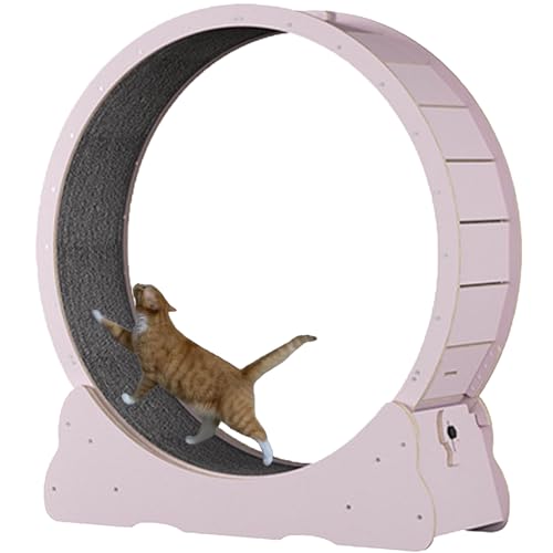 Katzenlaufband mit Teppichboden, Laufband für Haustiere mit Bremse, Kratzpads, Katzen-Übungsrad für die Gesundheit, perfekt für Ihre energiegeladene Katze,Pink-L von Spdazzleburst