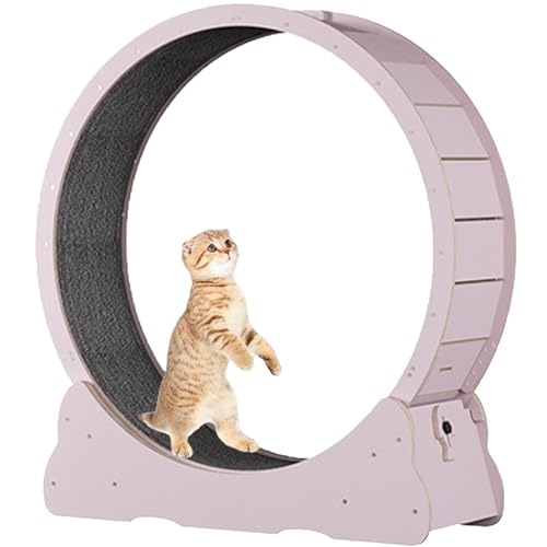 Katzenlaufrad für Hauskatzen, Laufband für Haustiere, mit Bremse, Kratzpolstern, Katzenübungsrad für die Gesundheit, perfekt für Ihre energiegeladene Katze,Pink-XL von Spdazzleburst