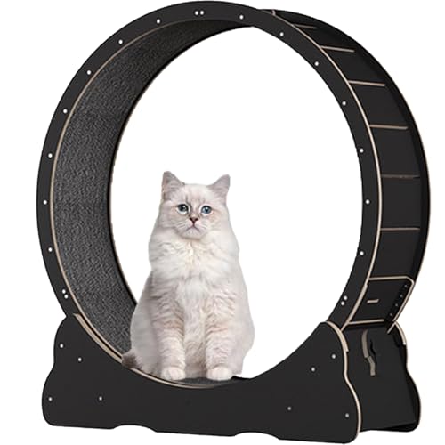 Katzenlaufrad für Hauskatzen, Laufband für Haustiere, mit Bremse, Laufrad für Katzen für die Gesundheit, interaktives Katzenspielzeug, mit Schloss und Teppichboden,Black-XL von Spdazzleburst