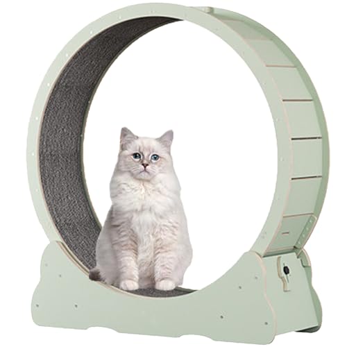 Katzenlaufrad für Hauskatzen, Laufband für Haustiere, mit Bremse, Laufrad für Katzen für die Gesundheit, interaktives Katzenspielzeug, mit Schloss und Teppichboden,Green-XL von Spdazzleburst