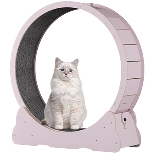 Katzenlaufrad für Hauskatzen, Laufband für Haustiere, mit Bremse, Laufrad für Katzen für die Gesundheit, interaktives Katzenspielzeug, mit Schloss und Teppichboden,Pink-XL von Spdazzleburst