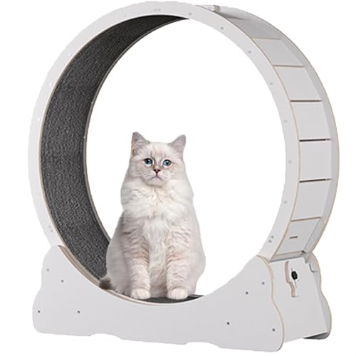 Katzenlaufrad für Hauskatzen, Laufband für Haustiere, mit Bremse, Laufrad für Katzen für die Gesundheit, interaktives Katzenspielzeug, mit Schloss und Teppichboden,White-XL von Spdazzleburst