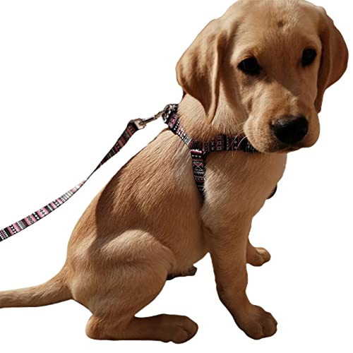 SpirWoRchlan Pet Leash Hundegeschirr, für den Außenbereich, sicher, Lila, Größe L von SpirWoRchlan