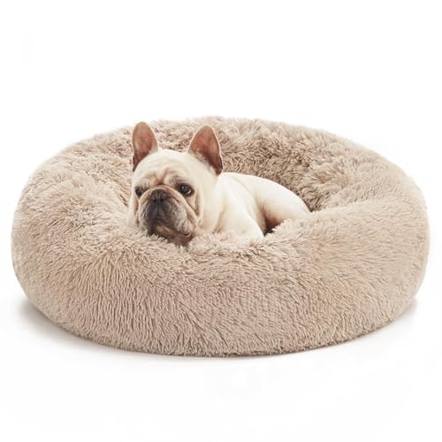 Spocado County Hundebett, Flauschiges Donutbett für Hunde & Katzen, weiches Polyester, maschinenwaschbar, Anti-Rutsch-Noppen, robust & langlebig (Beige, 100 x 100 x 20 cm) von Spocado