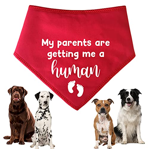 Spoilt Rotten Pets Hundehalstuch, Aufschrift "My Parents Are Getting Me A Human", für mittelgroße Hunderassen, z. B. Labrador, Dalmatiner und Springer Spaniel, Rot von Spoilt Rotten Pets