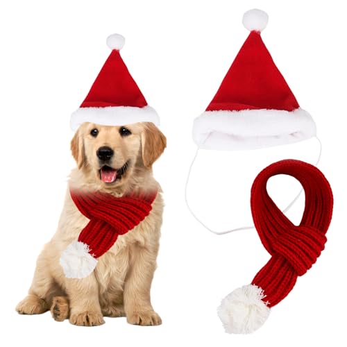 Sporgo 2 Stück Weihnachtskostüm für Katzen Hunde: Weihnachtsmütze und Weihnachtsschal, Weihnachtskostüme für Haustiere, Weihnachtsmütze Set für Katzen, Welpen, kleine Hunde von Sporgo