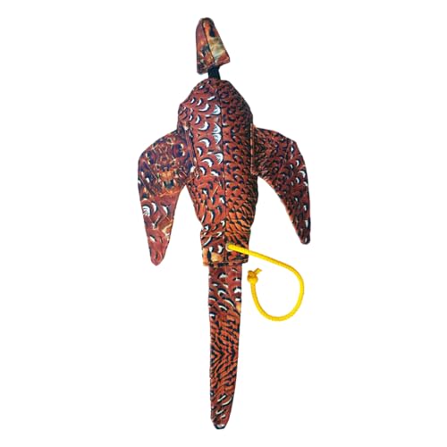 Sporting Saint Dead Bird Fasanendummy – Realistischer Apportierdummy mit Flügeln & Schwanz, 600g, schwimmfähig, für Dummytraining & Jagdhundetraining Sporting Saint Dead Bird Fasanendummy – Realistischer Apportierdummy mit Flügeln & Schwanz, 600g, schwimmfähig, für Dummytraining & Jagdhundetraining von Sporting Saint