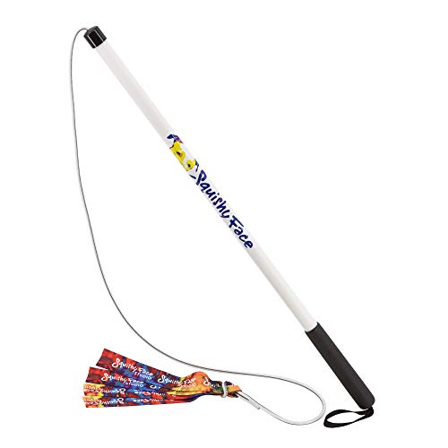 Squishy Face Studio Flirt Pole V2 mit Köder – langlebiges Hundespielzeug für lustiges Gehorsamkeitstraining & Übung, Regenbogen-Batikung, regulär, 91,4 cm von Squishy Face Studio