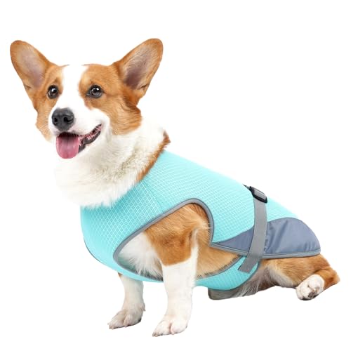 Kühlweste Hunde, Atmungsaktive Kühljacke Hunde, Leichtes Kühlshirt Haustiere Sommerliche Outdoor-Aktivitäten (Hellblau) von Srliya