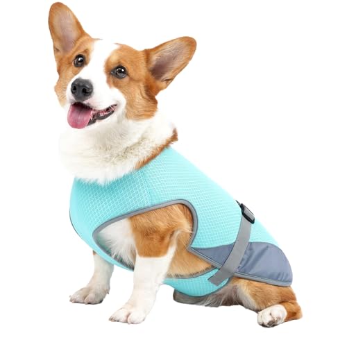 Kühlweste für Hunde, Atmungsaktive Kühljacke für Hunde, Leichtes Kühlshirt für Haustiere für Sommerliche Outdoor-Aktivitäten (Hellblau) von Srliya