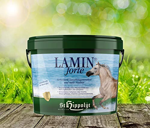 St. Hippolyt Lamin Forte 3 kg von St. Hippolyt