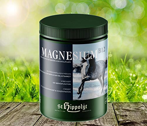 St. Hippolyt Magnesium B12 von Vanstart