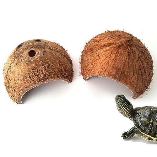 Stakee Reptile Versteck Höhle 2 Pcs Kokosnussschrudel Tierheim Kleines Haustier Reptil Verstecken Lebensraum Eidechse Schildkröte Versteck Lebensraum von Stakee