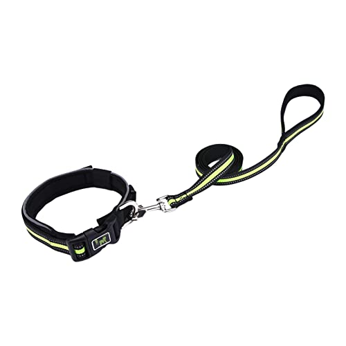 Stalf Hundeleinen-Halsband-Set, Reflexionslicht Hundeleine, Dauerhafte Geflochten Mit Halsband Einstellbar Retriever, Atmungsaktives Haustierzubehör Große Haustiere von Stalf