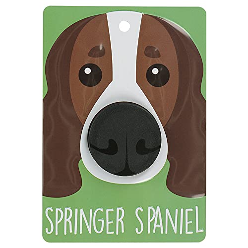 Pooch Pals Springer Spaniel Hundeleinenhalter, Wandmontage, Plakette von Stands Out, Supplying Outstanding Gifts