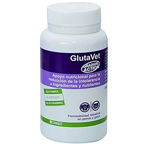 Stangest Glutavet 60Cpd 500g von STANGEST