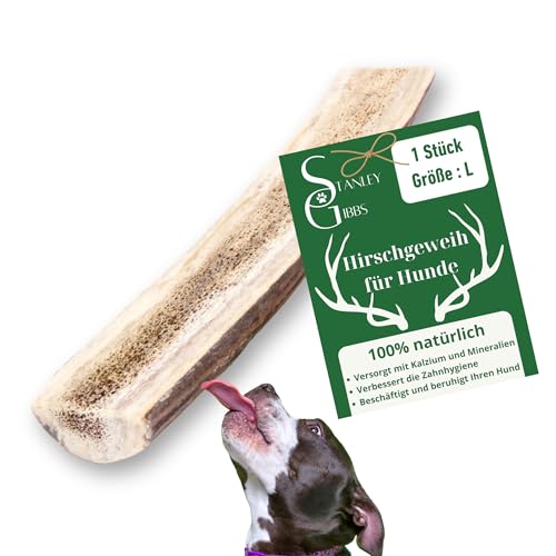 Natürlicher Kausnack für Hunde aus 100% Hirschgeweih. Mit Mineralstoffen, Kauspielzeug, Zahnpflege, Kaustange, Geweih, Knochen, Hirsch, Kauartikel - Größe L halbiert. Für Welpen und Hunde jeden Alters von Stanley Gibbs