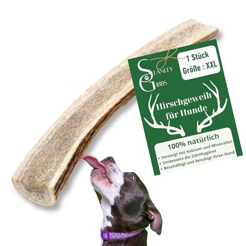 Natürlicher Kausnack für Hunde aus 100% Hirschgeweih Mit Mineralstoffen Kauspielzeug, Zahnpflege, Kaustange, Geweih, Knochen, Hirsch, Kauartikel - Größe XXL halbiert. Für Welpen und Hunde jeden Alters von Stanley Gibbs