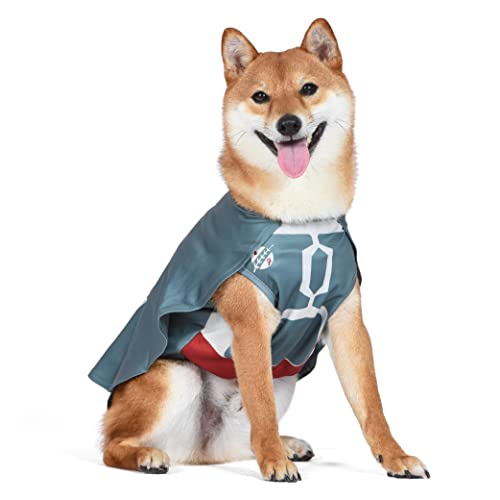 Star Wars: Halloween Boba Fett Kostüm - extra klein - | Star Wars Halloween Kostüme für Hunde, lustige Hundekostüme | Offiziell Lizenziertes Star Wars Hund Halloween Kostüm von Star Wars