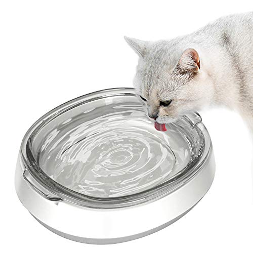 Futternapf für Hunde und Katzen, aus Glas, Wassernapf für Katzen und kleine Hunde, transparenter Glasnapf, fördert die Hydratation, schützt die Wirbelsäule des Haustiers, spülmaschinenfest von Star