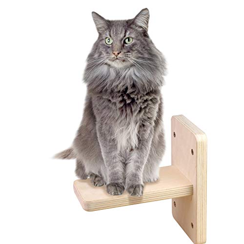 Wandmontierte Treppe für Katzen, 1 x Wandregal, Brett, Kätzchen-Wandleiter, Kletterer, Holz, Katzen-Wandregal-Set, Float, Katzenkratzbaum, Treppen, Katzen-Sitzstange zum Klettern & Spielen & Faulenzen von Star