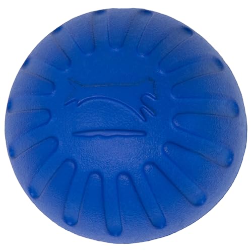 Rosewood Starmark Durafoam Ball, groß von StarMark